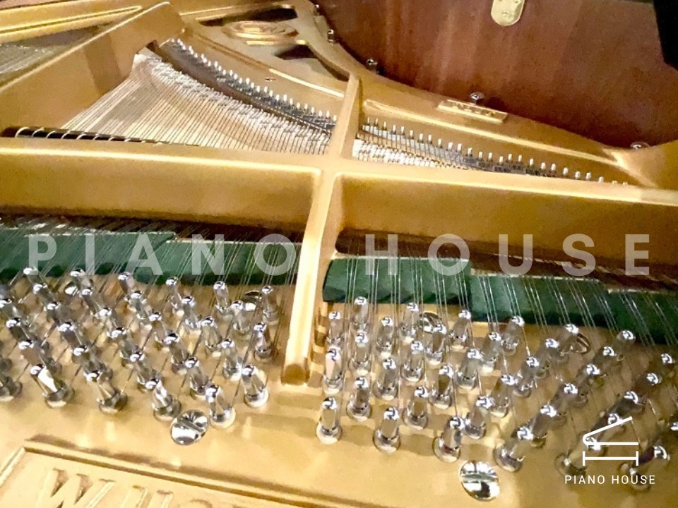 T186 (W.HOFFMANN TRADITION)