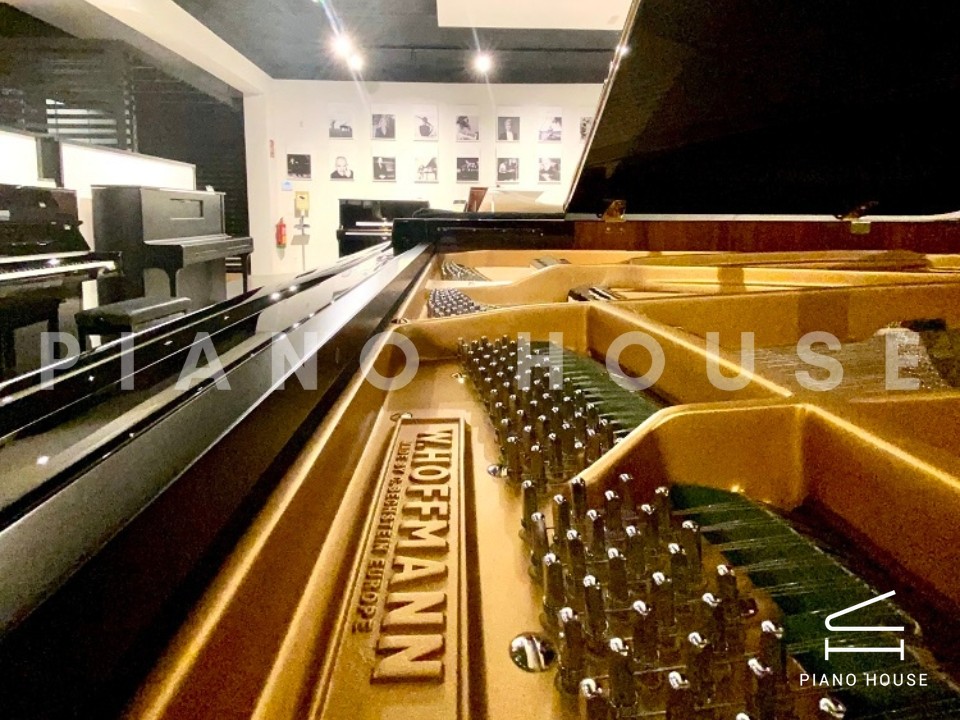 T186 (W.HOFFMANN TRADITION)