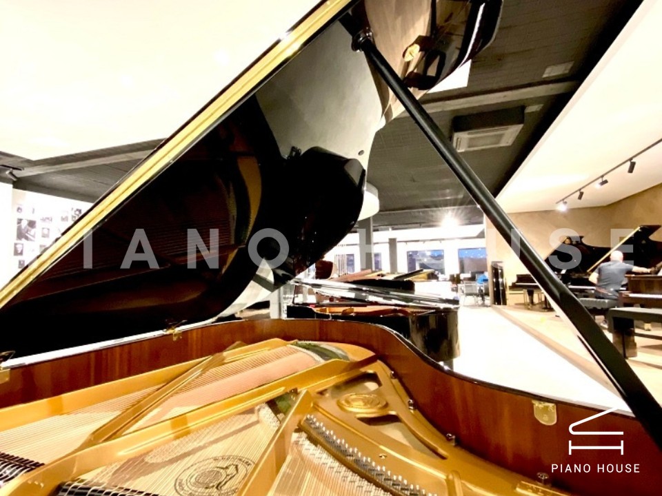 T186 (W.HOFFMANN TRADITION)