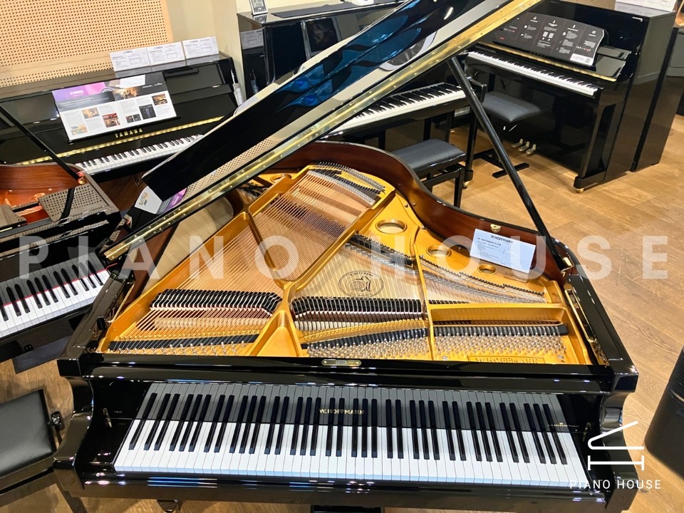 V158 (W.HOFFMANN VISION)