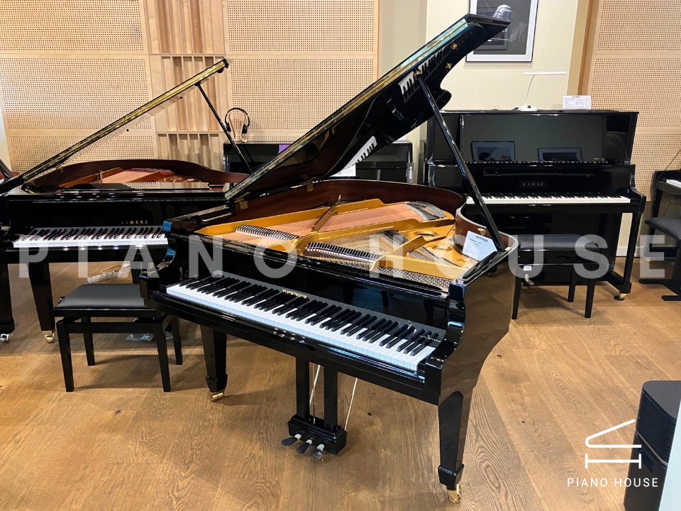 V158 (W.HOFFMANN VISION)