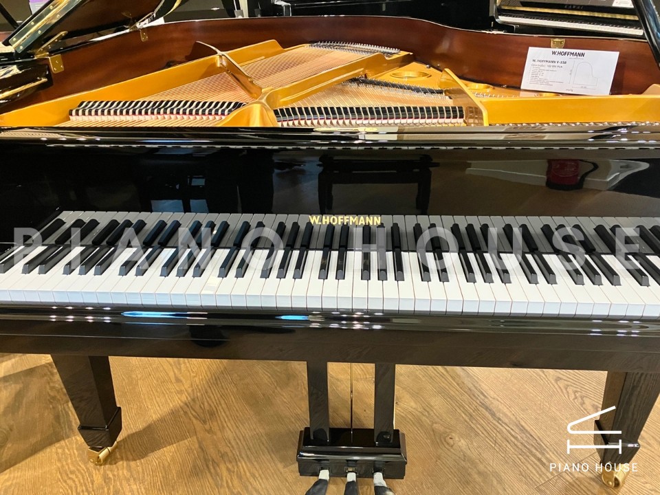 V158 (W.HOFFMANN VISION)