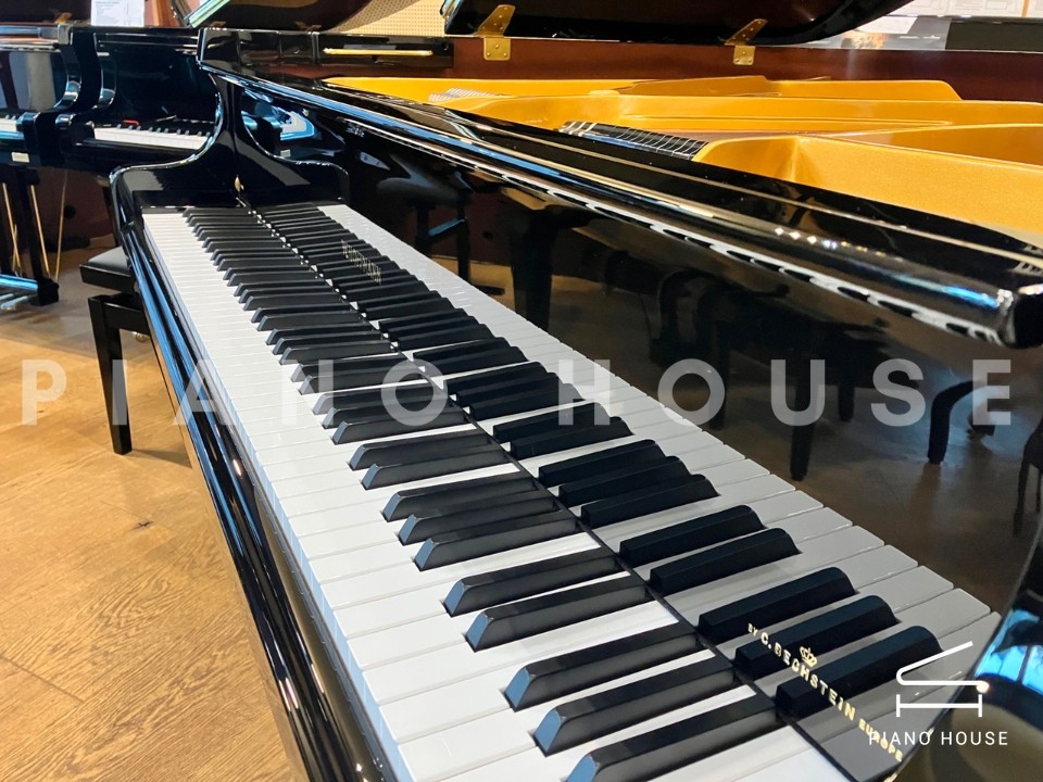 V158 (W.HOFFMANN VISION)