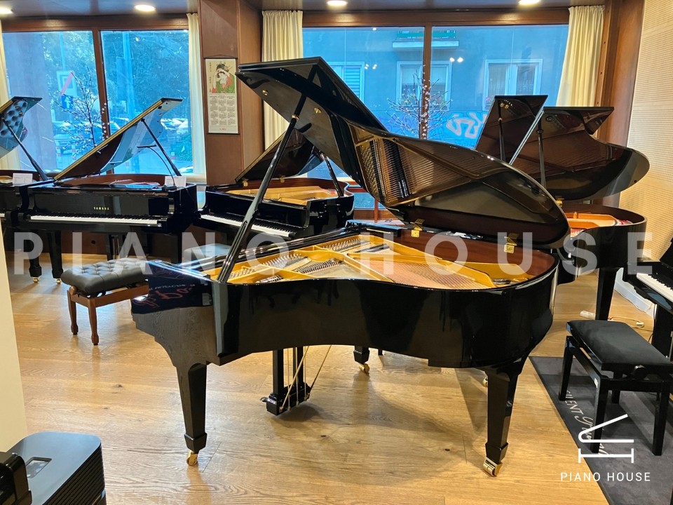 V158 (W.HOFFMANN VISION)