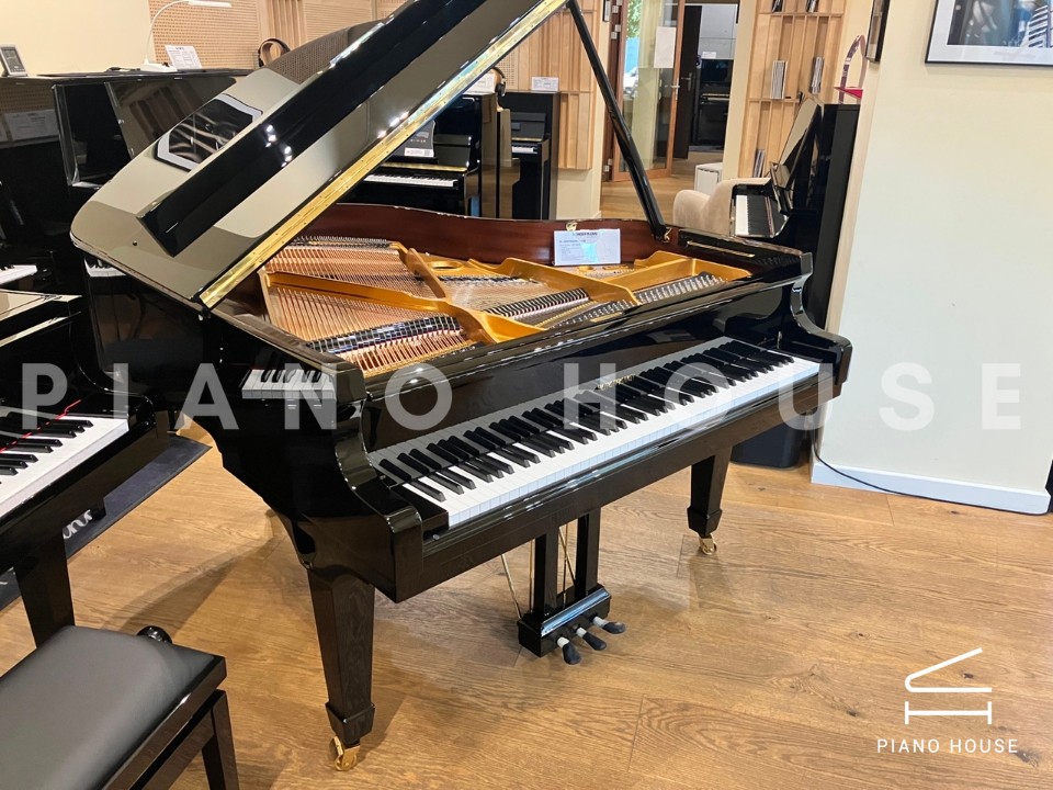 V158 (W.HOFFMANN VISION)