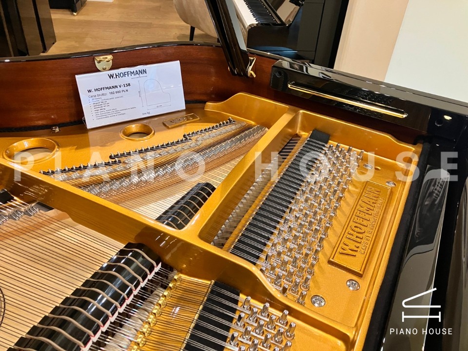 V158 (W.HOFFMANN VISION)