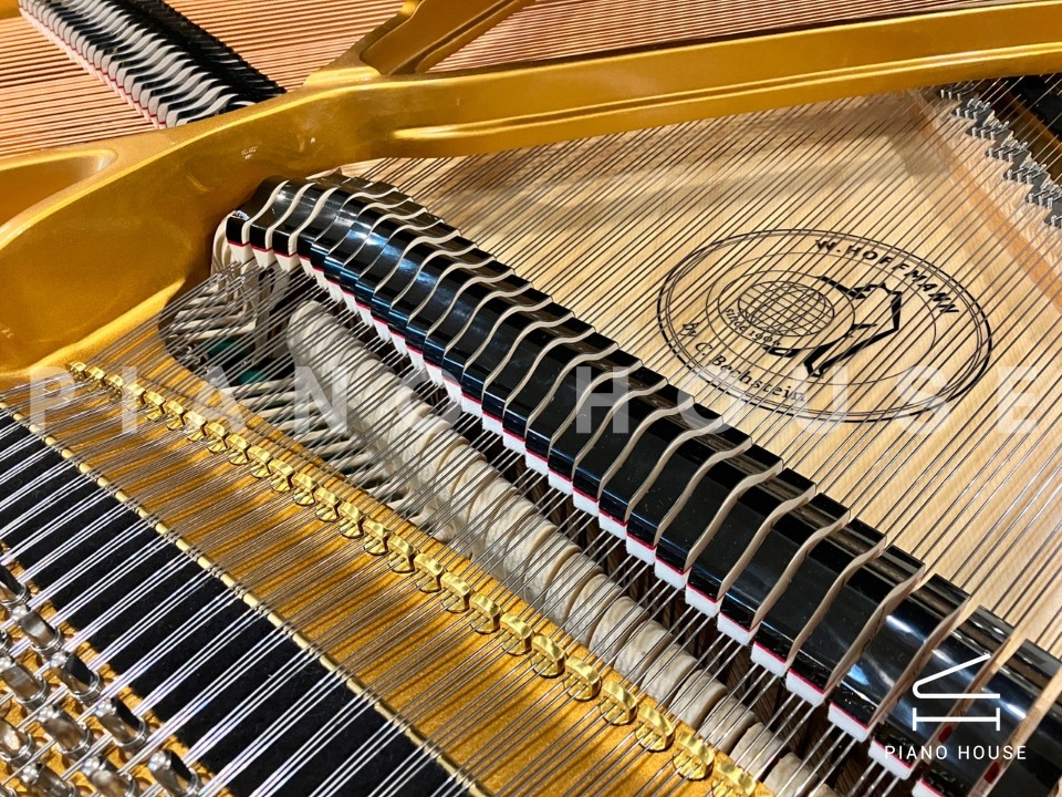 V158 (W.HOFFMANN VISION)