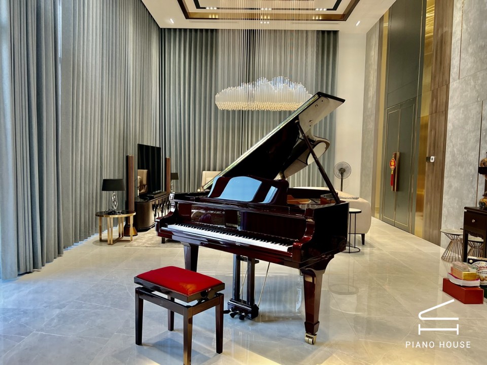 V183 (W.HOFFMANN VISION)