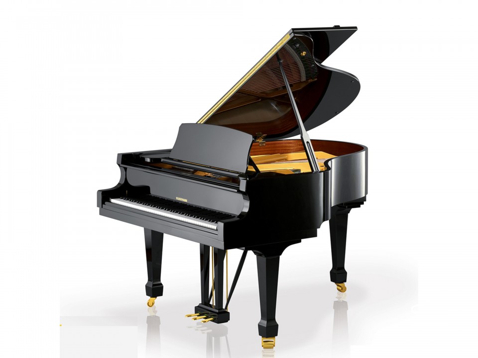 T177 (W.HOFFMANN TRADITION)