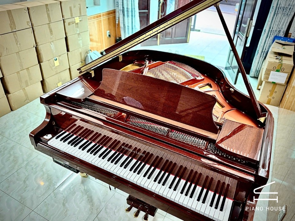 Wendl & Lung Mod.151 Mahogany - Silent