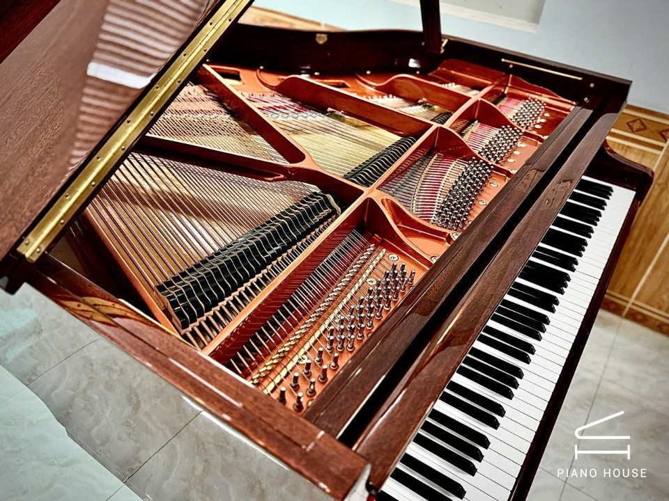 Wendl & Lung Mod.151 Mahogany - Silent