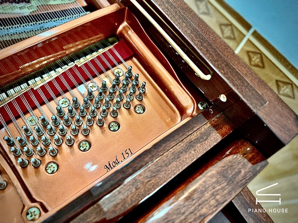 Wendl & Lung Mod.151 Mahogany - Silent