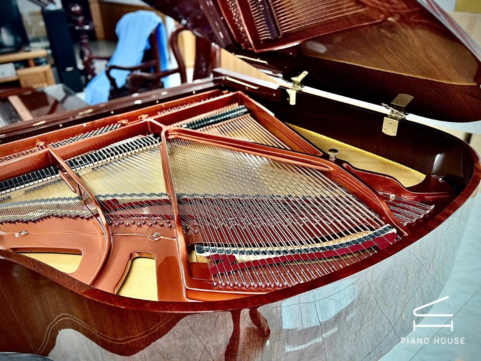 Wendl & Lung Mod.151 Mahogany - Silent