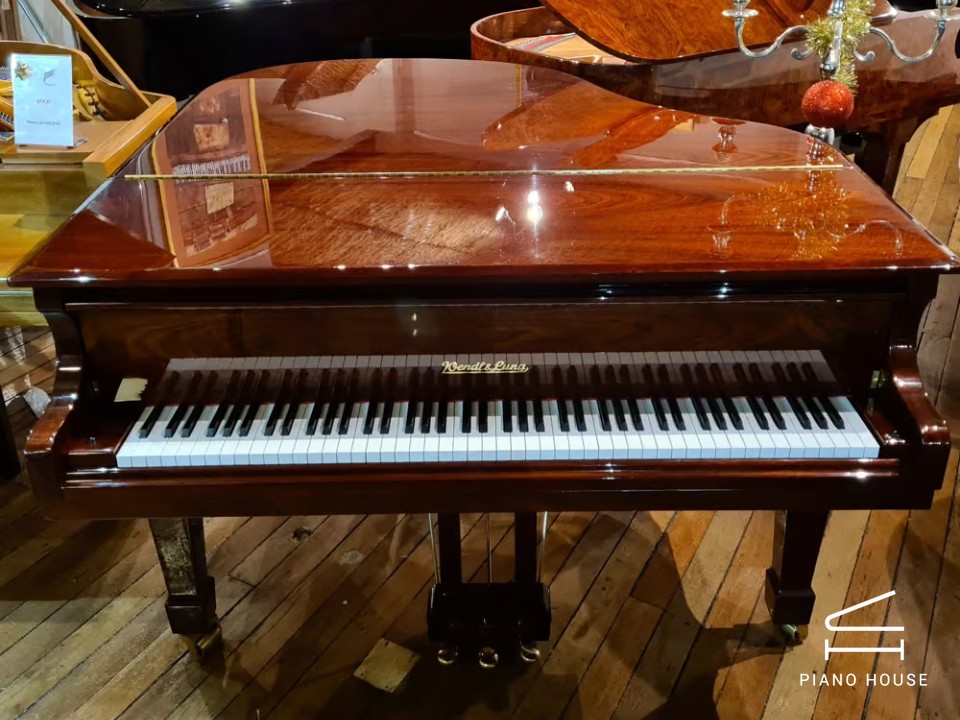 Wendl & Lung Mod.161 Professional I Mahogany