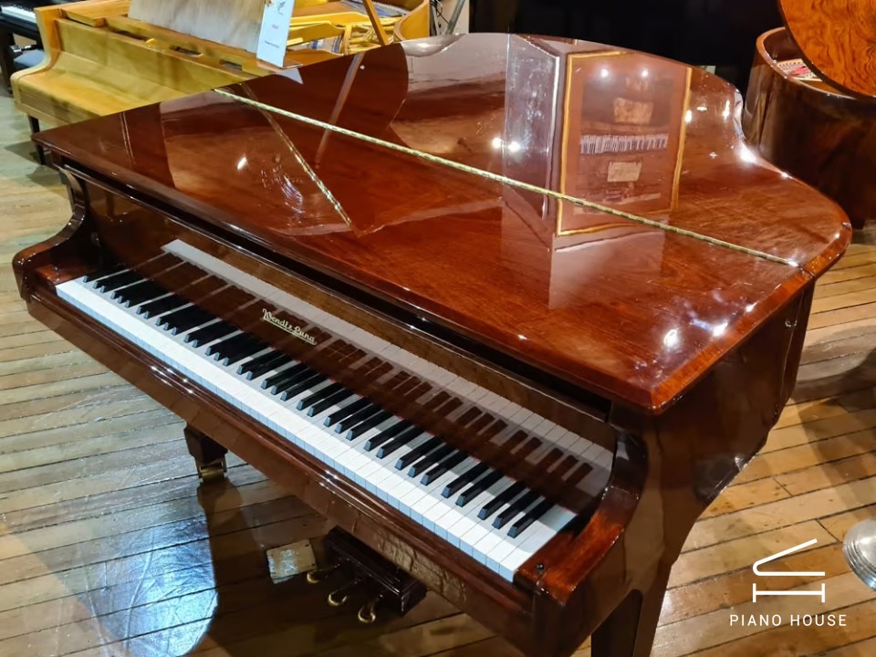 Wendl & Lung Mod.161 Professional I Mahogany