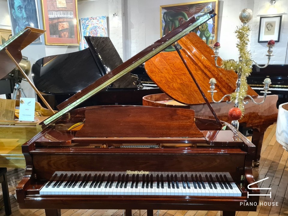 Wendl & Lung Mod.161 Professional I Mahogany