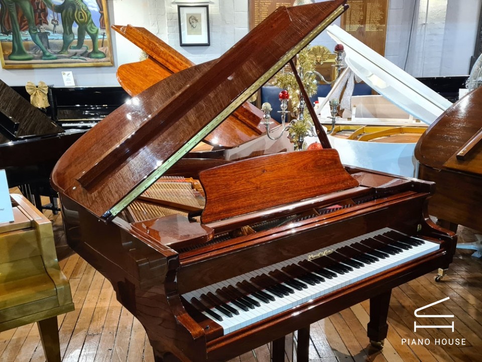 Wendl & Lung Mod.161 Professional I Mahogany