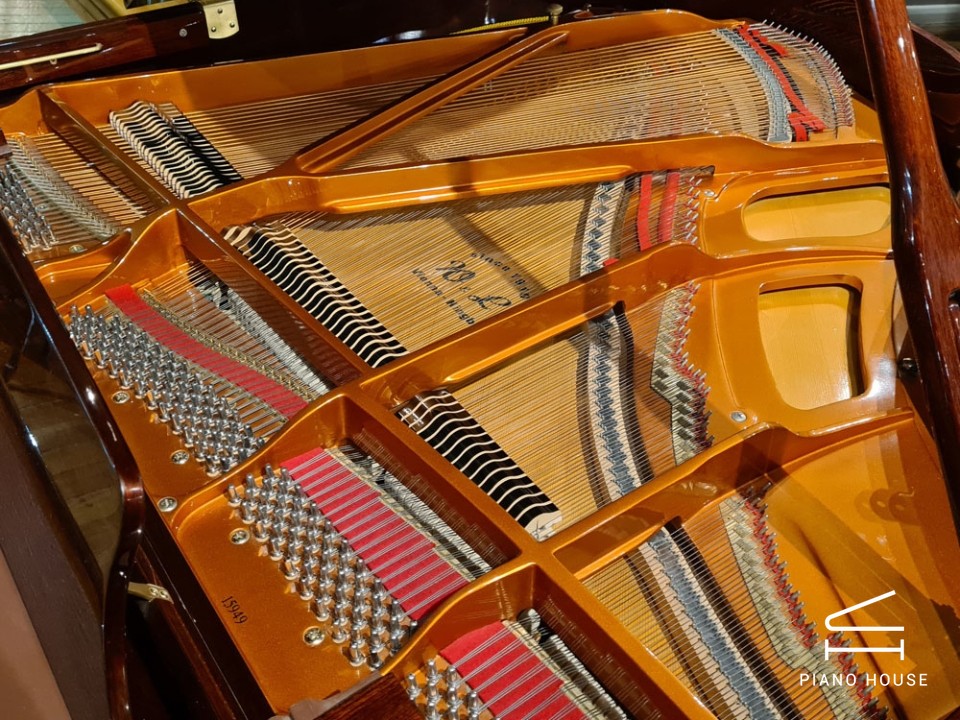 Wendl & Lung Mod.161 Professional I Mahogany