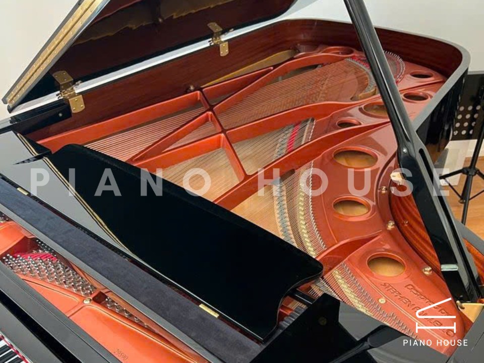 Wendl & Lung Mod.218 Concert I