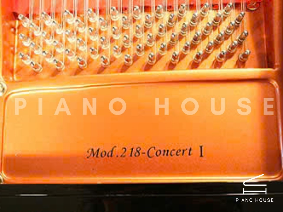 Wendl & Lung Mod.218 Concert I