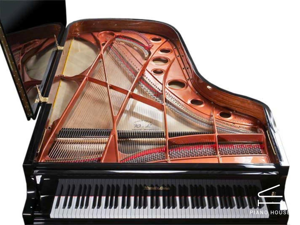 Wendl & Lung Mod.218 Concert I