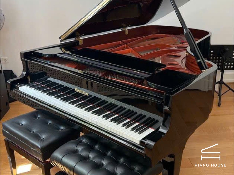 Wendl & Lung Mod.218 Concert I