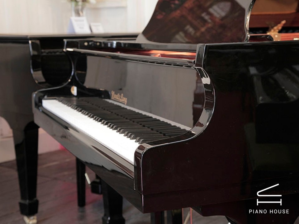 Wendl & Lung Mod.178 Professional II