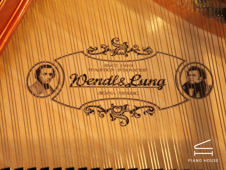 Wendl & Lung Mod.178 Professional II