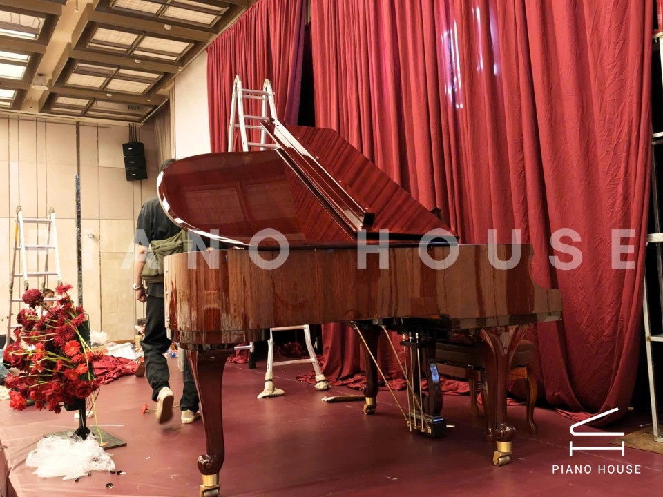 Wendl & Lung Mod.180