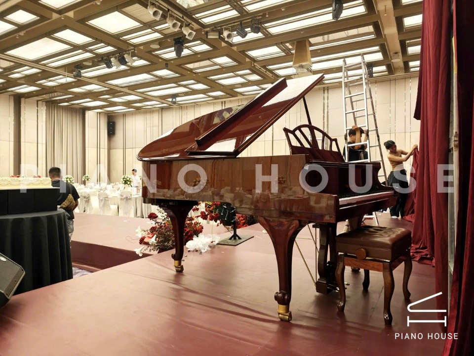 Wendl & Lung Mod.180