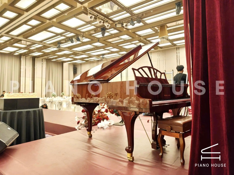 Wendl & Lung Mod.180