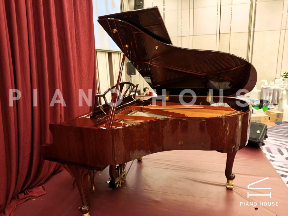 Wendl & Lung Mod.180