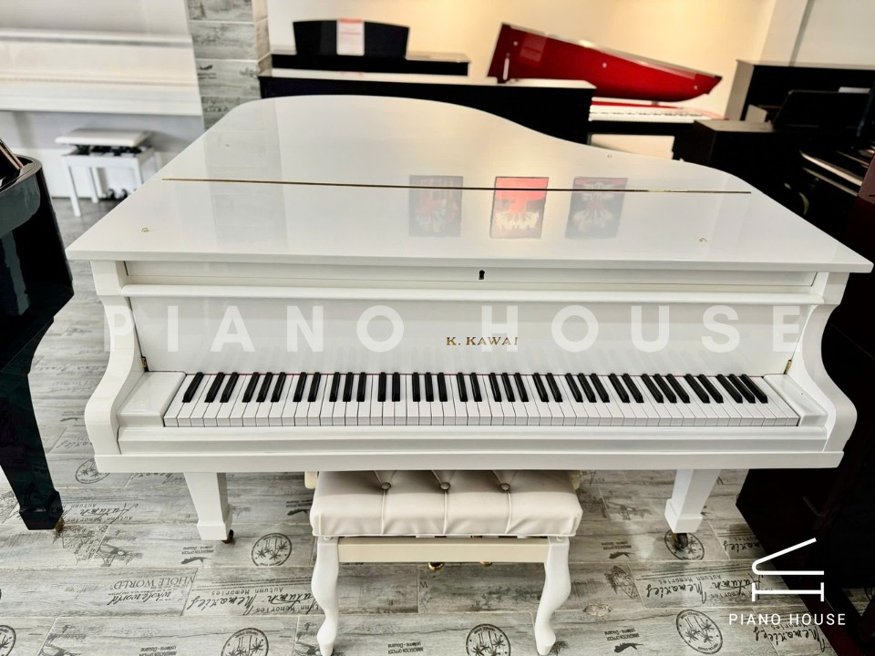 KAWAI No.500