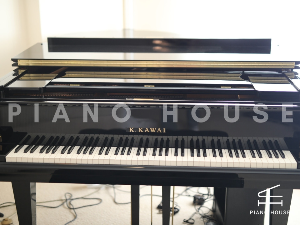 KAWAI GX5