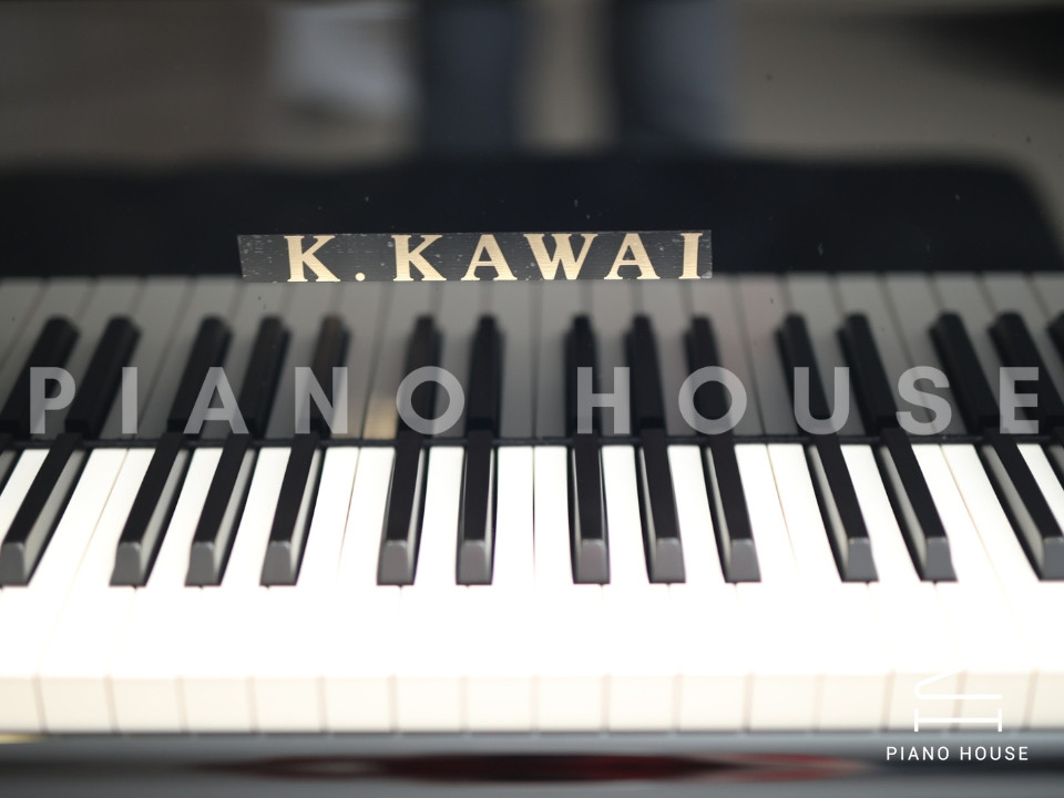 KAWAI GX5