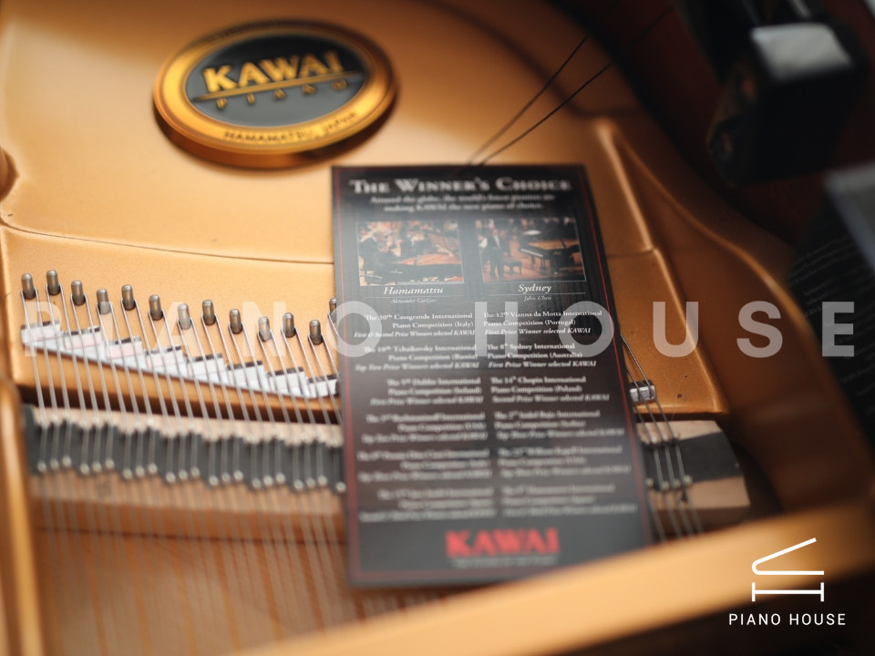 KAWAI GX5