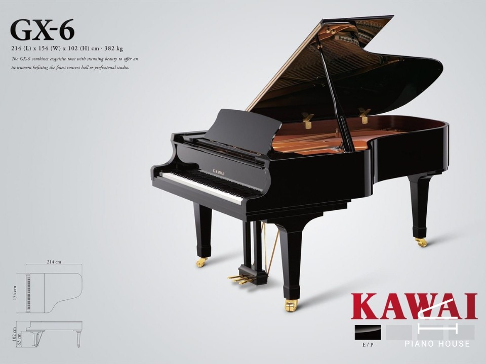 KAWAI GX6