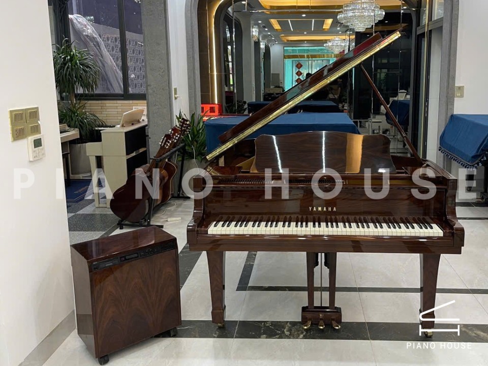 YAMAHA C3B PW Autoplay