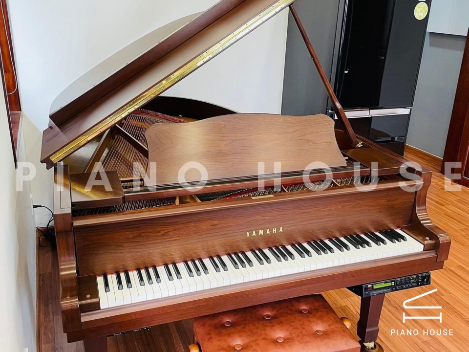 YAMAHA C3A WN AutoPlay