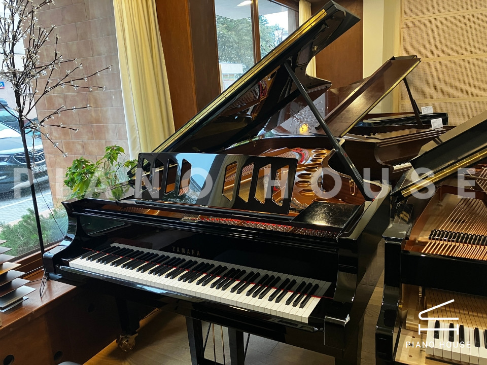 YAMAHA CFX (Next Generation)