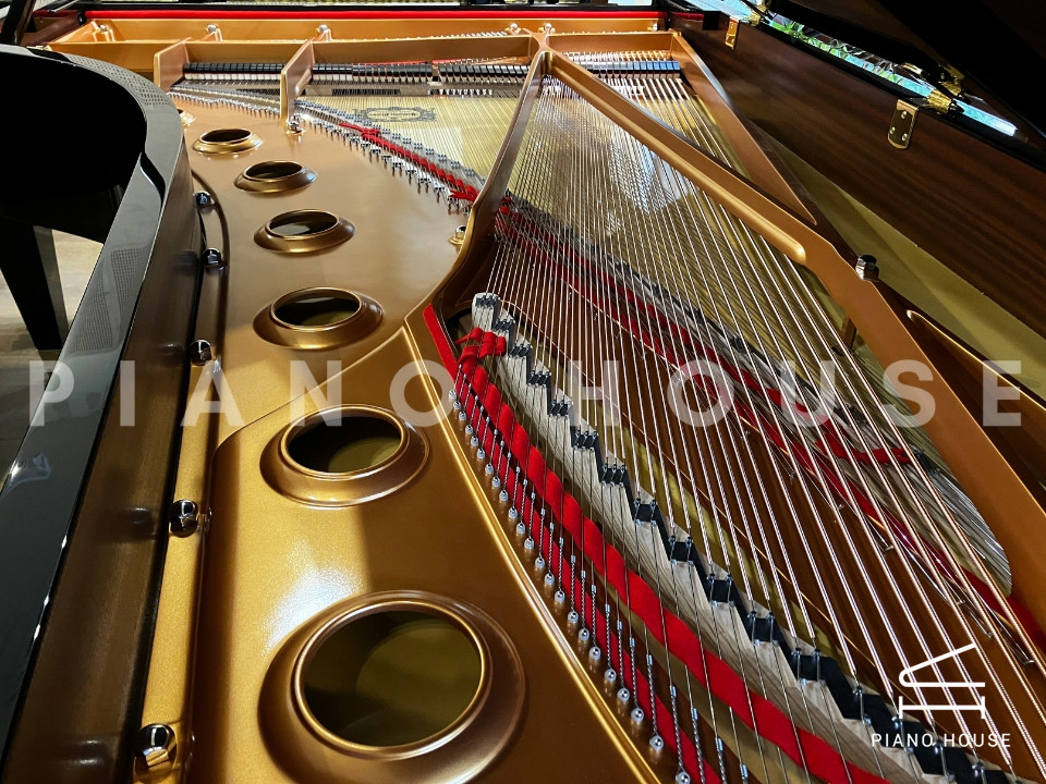 YAMAHA CFX (Next Generation)