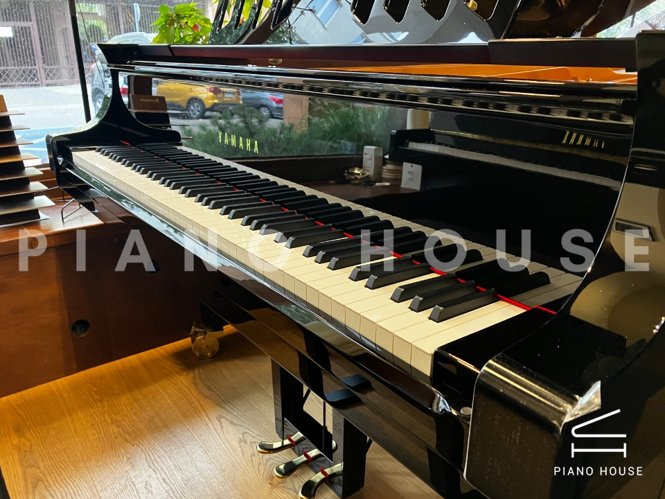 YAMAHA CFX (Next Generation)