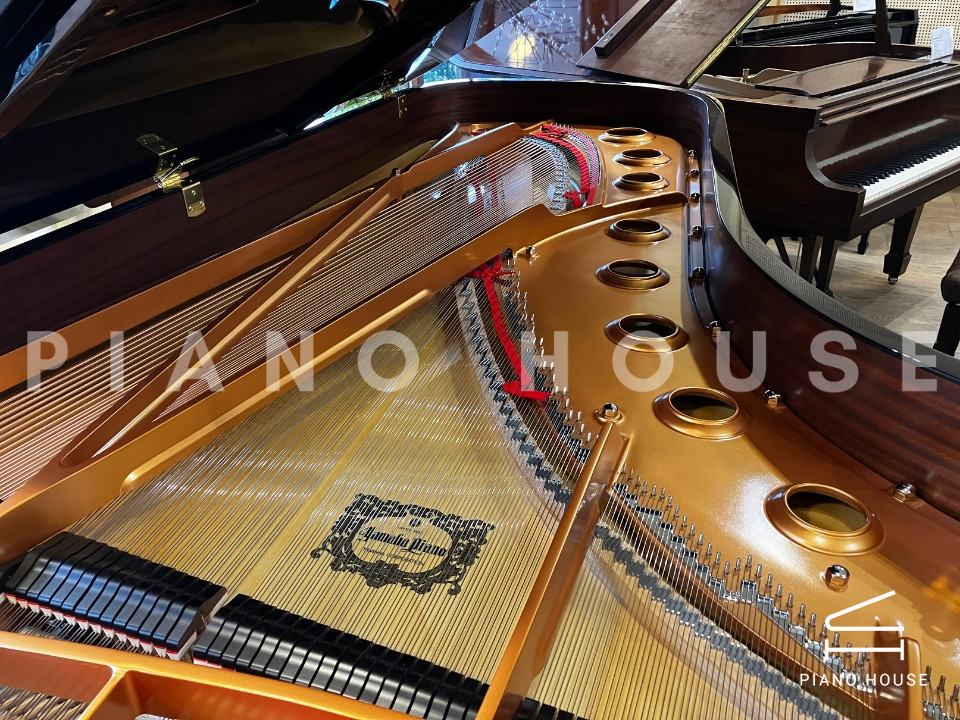 YAMAHA CFX (Next Generation)