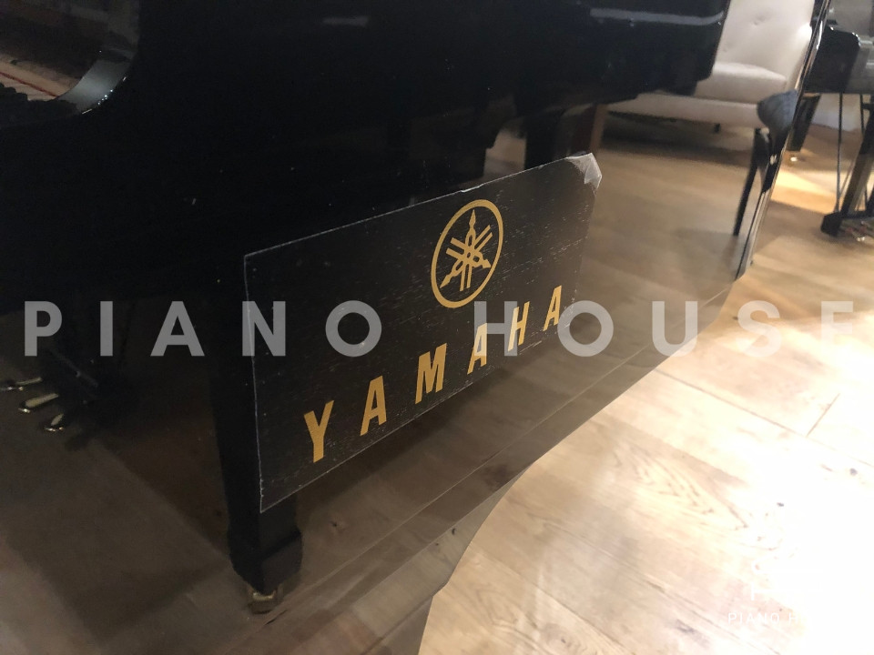 YAMAHA CFX (Next Generation)