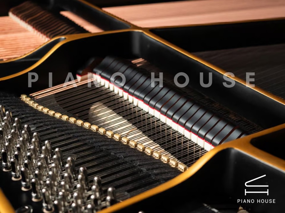 Yamaha G2 Black & Gold Polyester