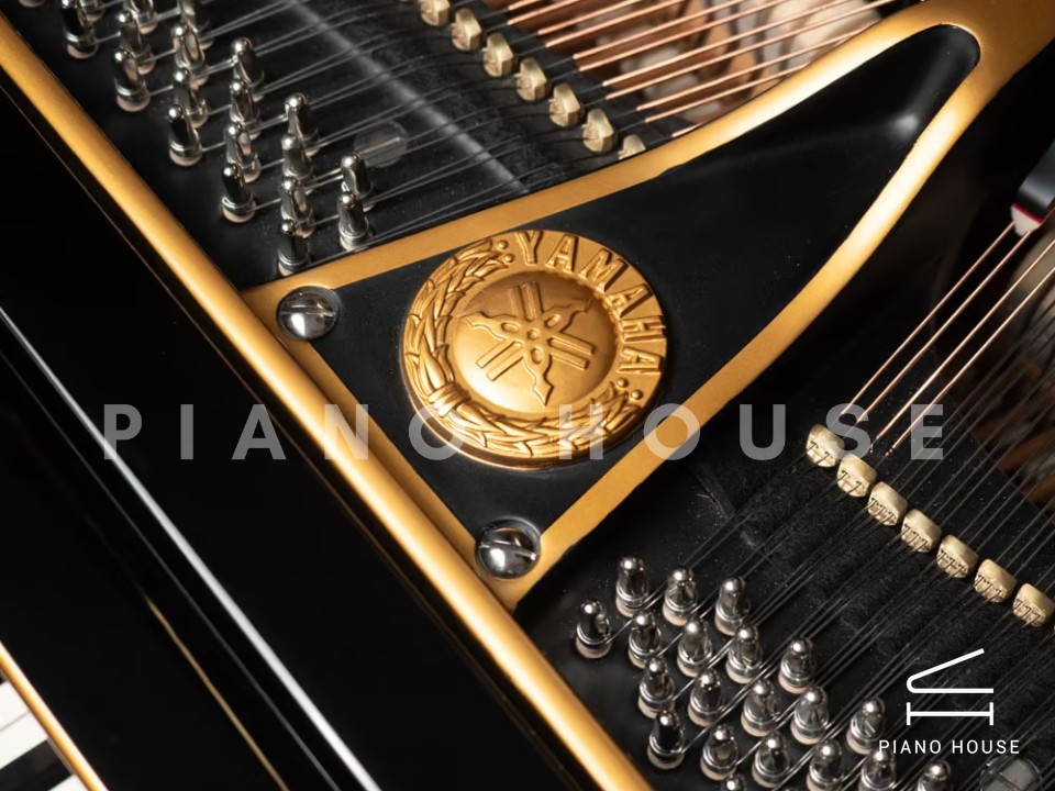 Yamaha G2 Black & Gold Polyester