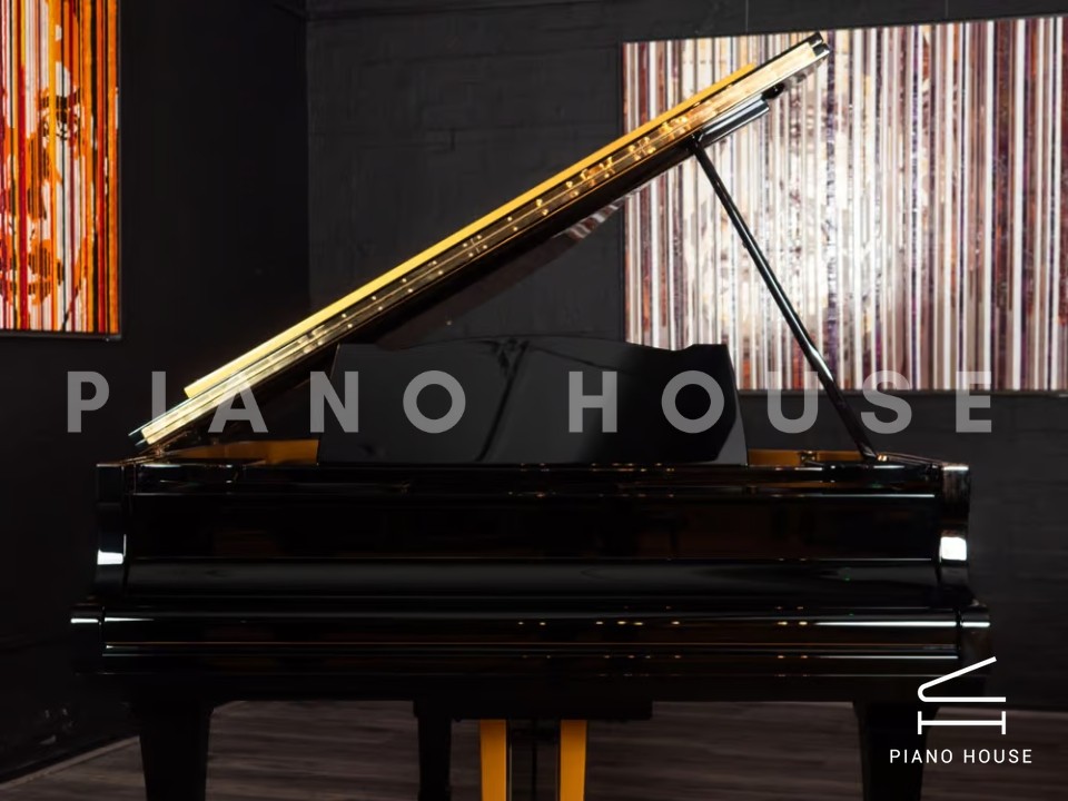 Yamaha G2 Black & Gold Polyester