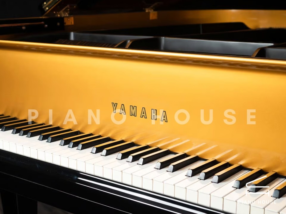 Yamaha G2 Black & Gold Polyester