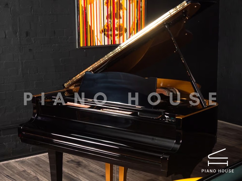 Yamaha G2 Black & Gold Polyester