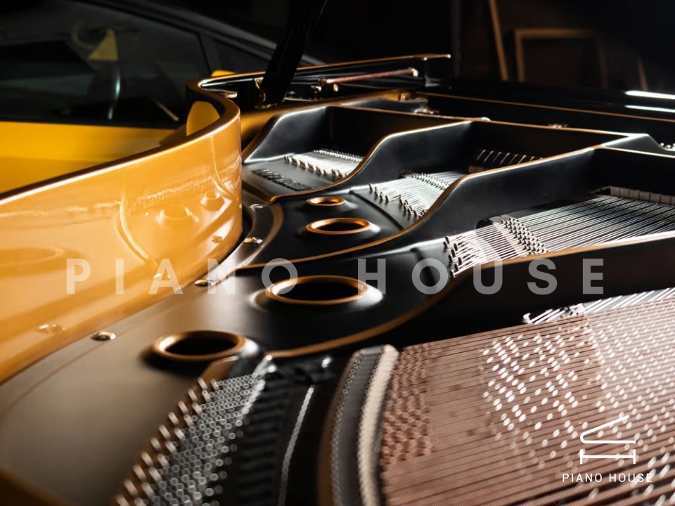 Yamaha G2 Black & Gold Polyester